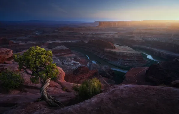 Picture river, tree, rocks, canyon, USA