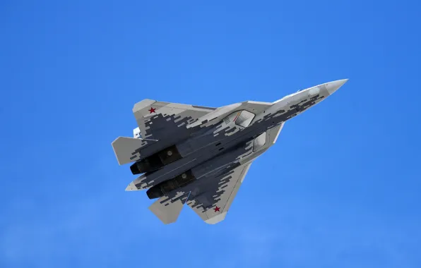 Picture flight, T-50, Videoconferencing Russia, Su-57, Su-57, multi-role fighter