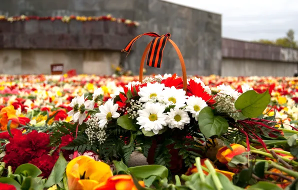 Flowers, memory, May 9, Victory Day, 9 May, Victory Day, George ribbon