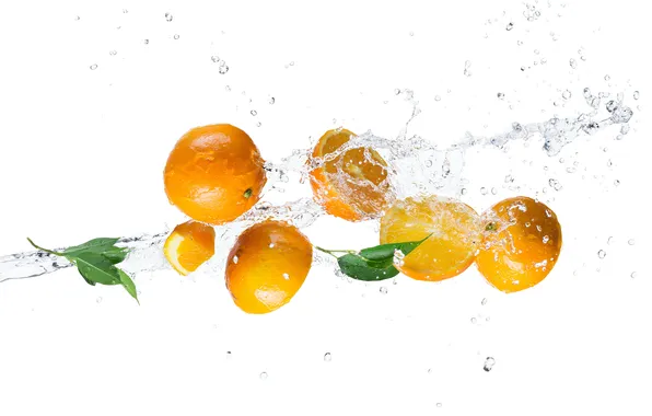 Picture water, drops, squirt, orange, citrus, slices