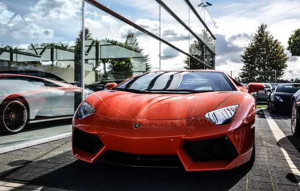 Red, reflection, the building, Windows, red, lamborghini, the front, aventador