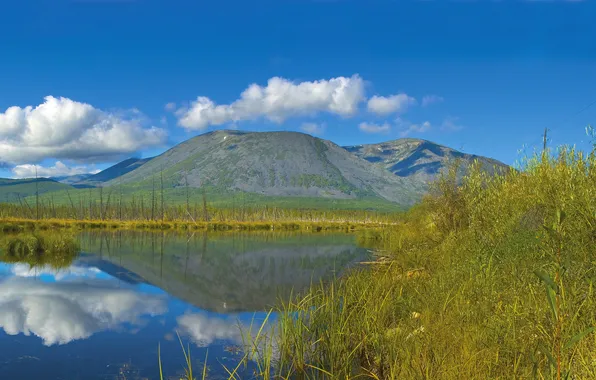 Picture the sky, grass, clouds, nature, lake, reflection, mountain