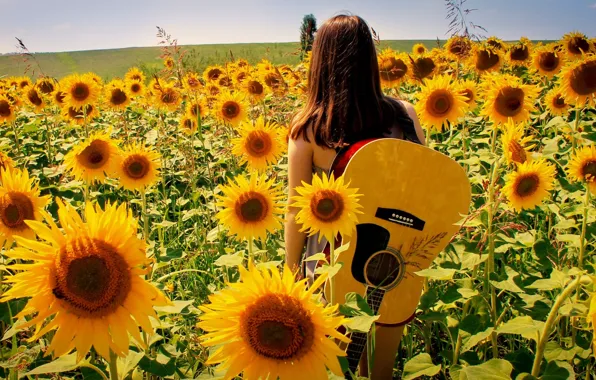 Summer, girl, sunflowers, nature, music, guitar