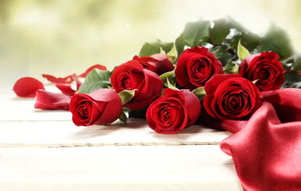 Picture flowers, background, foliage, roses, bouquet, buds, Atlas, flowers