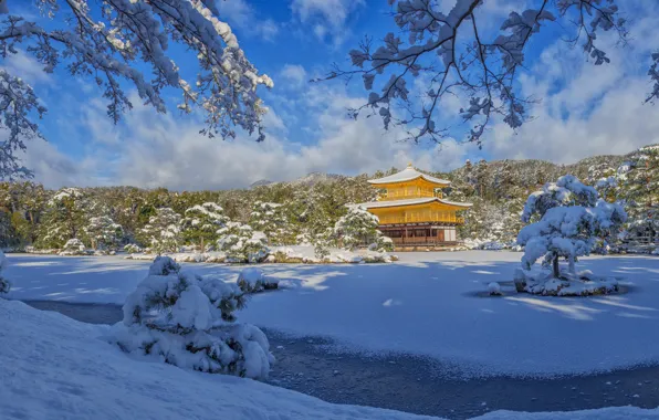 Winter, snow, trees, landscape, branches, nature, Park, Japan