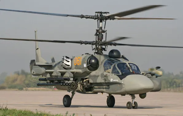Picture Kamov, Ka-52, Alligator, The Russian air force, Russian attack helicopter