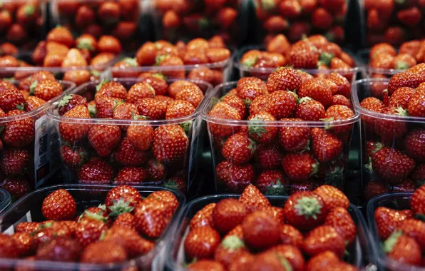 A lot, plastic, selling, berries, harvest, strawberry, container, tray