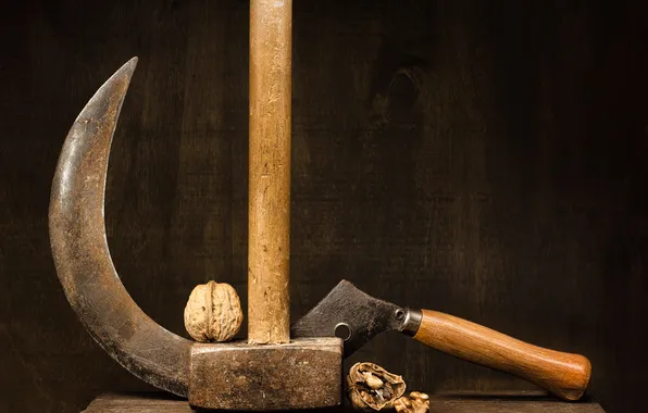 Hammer, nuts, still life, hammer, walnut, Helmut Hess