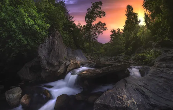 Trees, sunset, river, stones, France, France, Corsica, Corsica