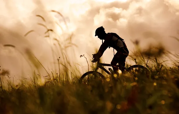 Picture grass, bike, sport, silhouette, athlete