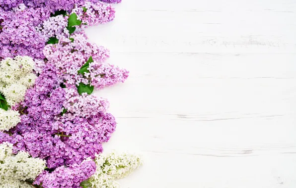Flowers, wood, flowers, lilac, romantic, lilac