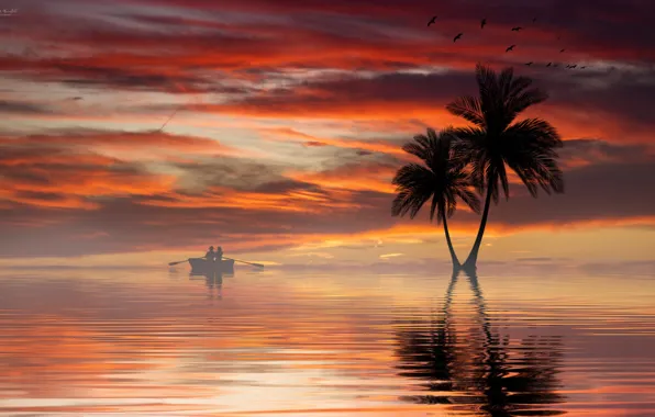 Picture water, sunset, palm trees