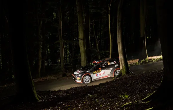 Picture Ford, Night, WRC, Rally, Rally, Fiesta, Robert Kubica