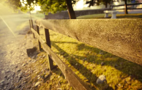 Picture summer, grass, the sun, light, trees, nature, stones, Board