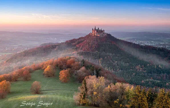 Picture forest, castle, valley, hill, Germany