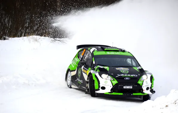 Picture Ford, Winter, Snow, Skid, WRC, Rally, Rally, Fiesta