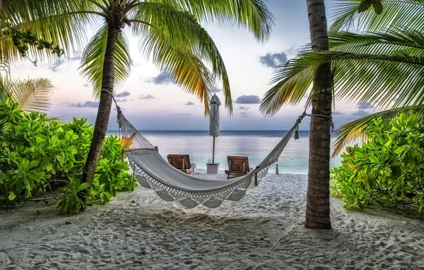 Picture beach, summer, palm trees, stay, hammock, The Maldives, resort