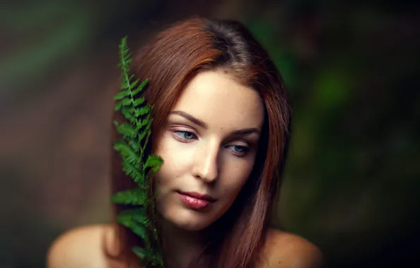 Picture tenderness, sponge, the beauty, Peacefuil Forest