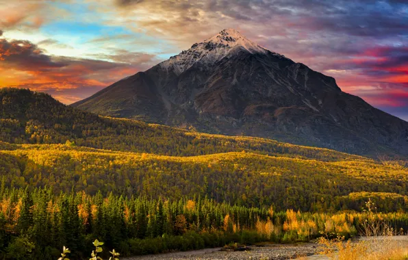 Picture mountain, Alaska, nature, Kings Mountain, landscape, autumn, forest, USA