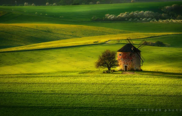 NATURE, GRASS, GREENS, PLAIN, FIELD, MEADOW, SOWING, MILL