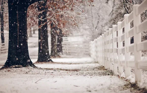 Picture winter, street, the fence