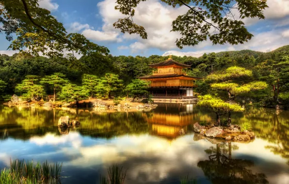 Picture forest, lake, Japan