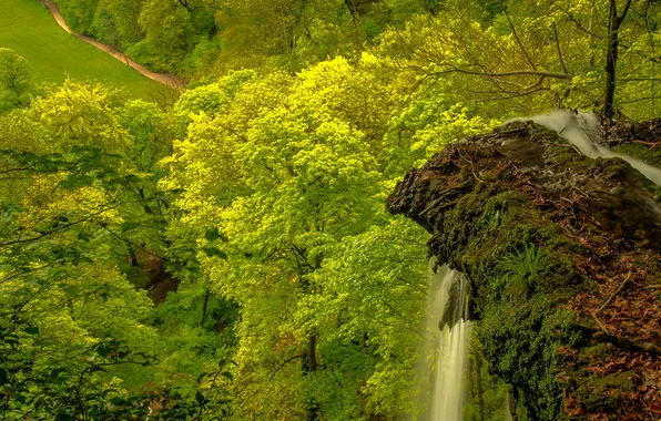 Trees, mountains, rocks, waterfall, stream, valley