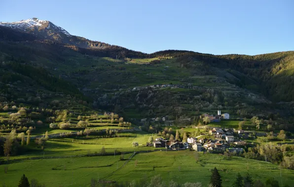 Picture the sky, trees, stay, vegetation, road, mountain, Alps, top