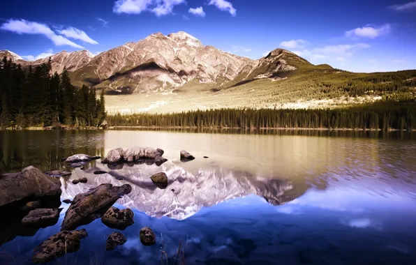 Picture Reflection, Mountains, Lake, Forest, Stones