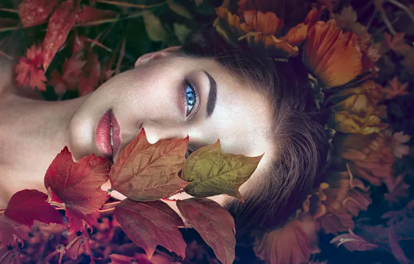 Picture look, leaves, girl, face, mood, Monica Lazar