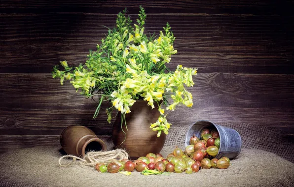 Picture berries, bouquet, texture, pitcher, still life, gooseberry, snapdragons