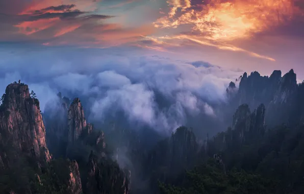 Picture forest, the sky, clouds, mountains, fog, rocks, morning, China