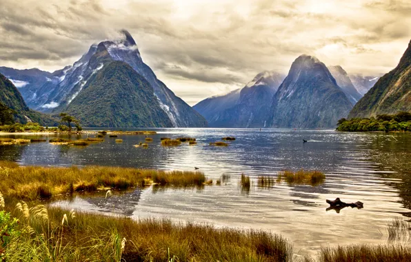 The sky, grass, clouds, mountains, lake, new Zealand, New Zealand