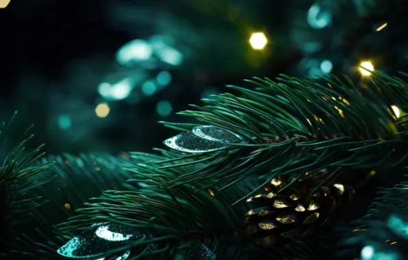 Branches, lights, the dark background, Shine, spruce, lights, green, Christmas