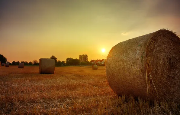 Field, autumn, the sky, the sun, light, sunset, nature, the evening