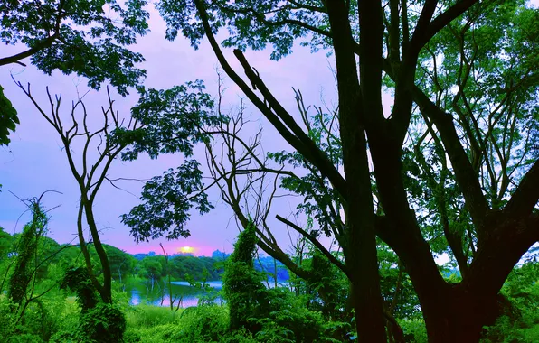 Picture Sky, Sun, Water, Sunrise, Dawn, Morning, Lake, Trees