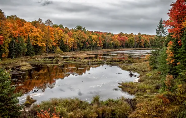 Picture Ontario, Autumnal Reflections, Killbear Provincial Park