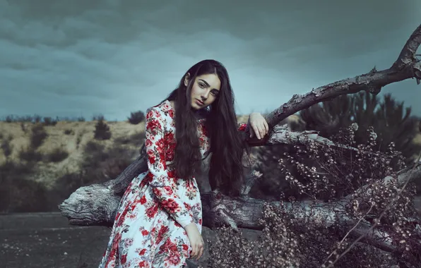 Picture look, girl, nature, face, dress