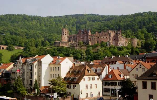 Castle, building, home, Germany, Germany, Baden-Württemberg, Baden-Württemberg, Heidelberg