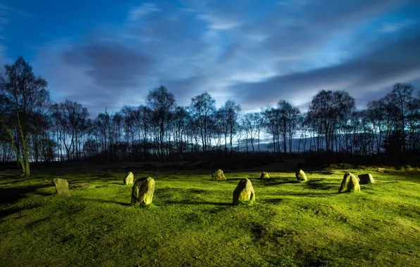Field, landscape, night, stones