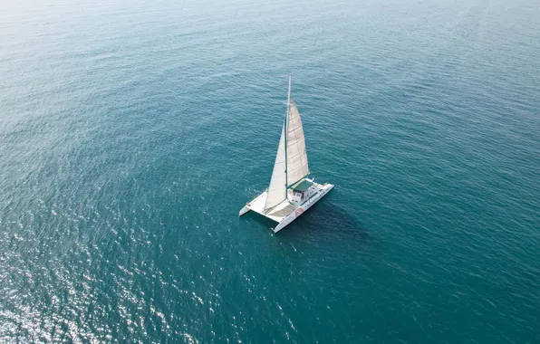 Sea, sails, calm, catamaran, the, DJI-301