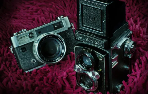 Macro, background, camera