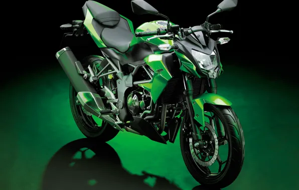 Picture photo, Motorcycle, Kawasaki, Worldwide, Z250SL