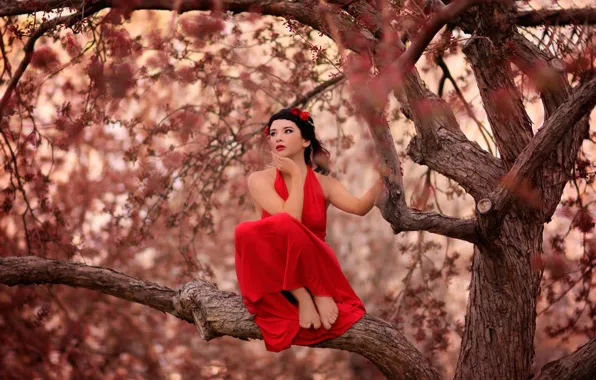 Picture girl, red dress, on the tree