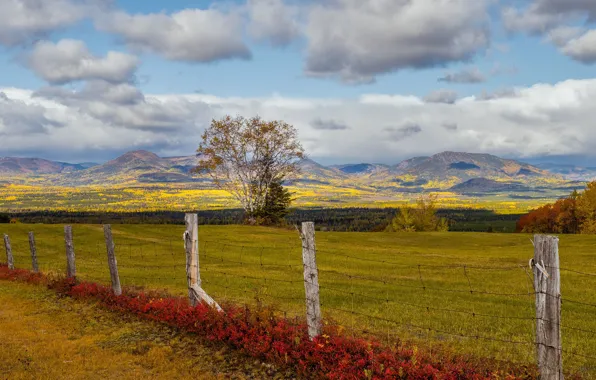 Autumn, the fence, Canada, Quebec, Notre-Dame-des-Monts