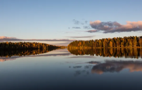 Autumn, forest, river, calm, the evening