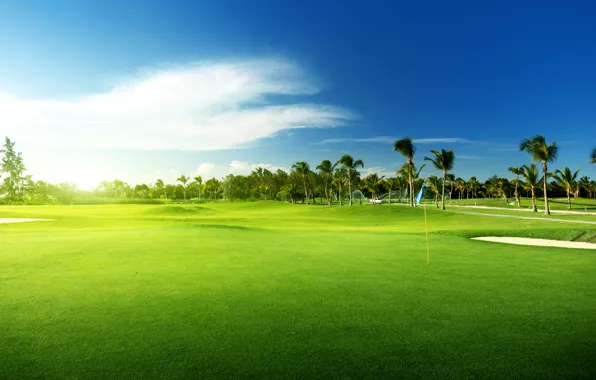 The sky, Nature, Palm trees, Field, Landscape, Lawn, Golf