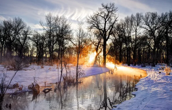 The sun, Nature, Reflection, Trees, River, Snow, Branches, Footprints in the Snow