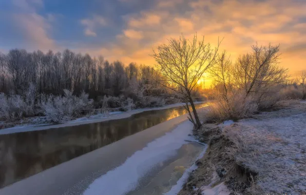 Picture ice, winter, the sky, trees, river, dawn, frost, Aleksei Malygin