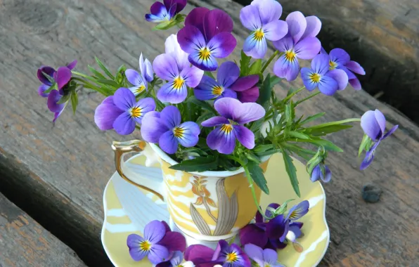 Flowers, Cup, Pansy, a bunch